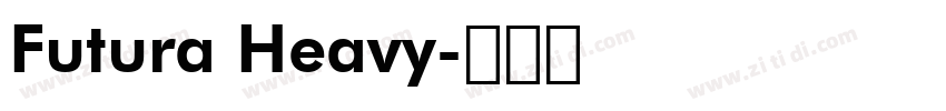 Futura Heavy字体转换